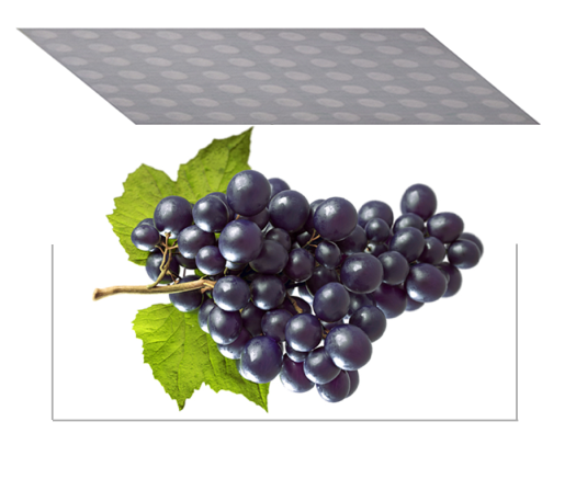 Grape Guard Sheets