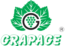 grapage logo