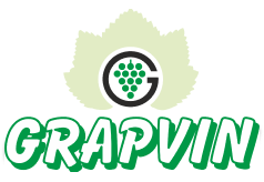 GRAPVIN logo